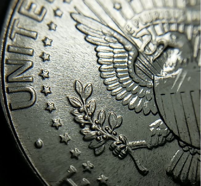 One-Half-Dollar-1996-P.-I-Don't-Know-This-Is-Very-Nice?